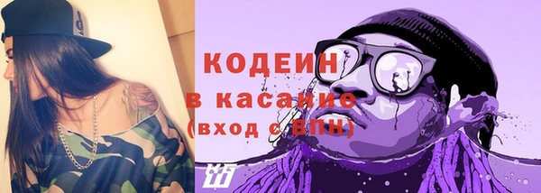 шишки Лабытнанги