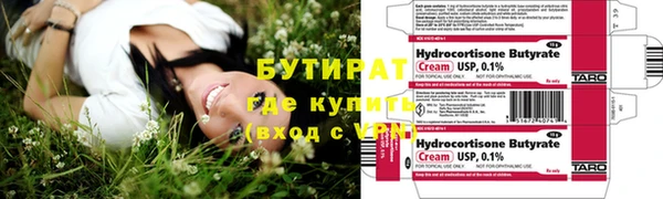 шишки Лабытнанги