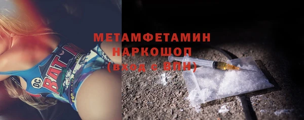 шишки Лабытнанги