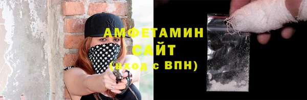 шишки Лабытнанги
