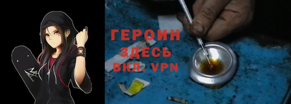 шишки Лабытнанги