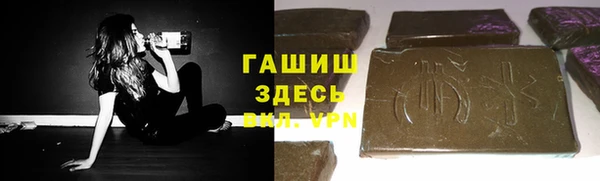шишки Лабытнанги