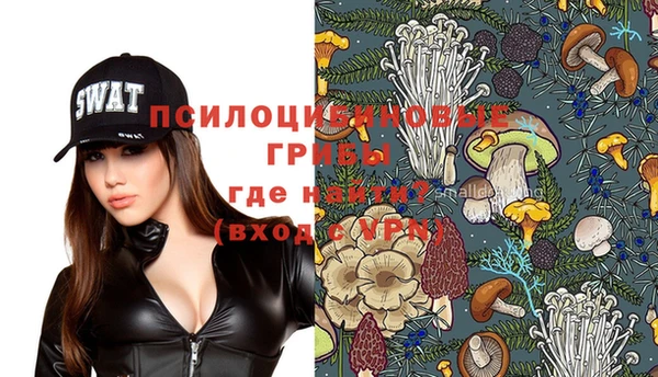 шишки Лабытнанги