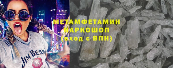 шишки Лабытнанги