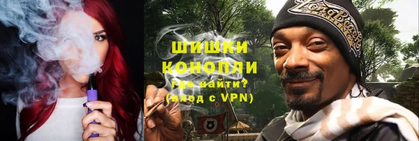 шишки Лабытнанги
