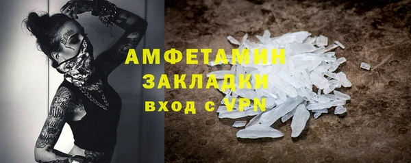 шишки Лабытнанги
