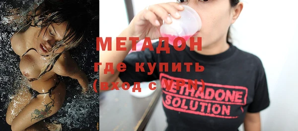шишки Лабытнанги