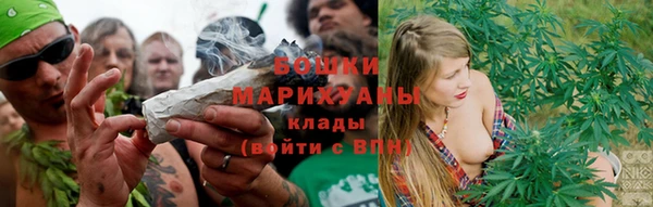шишки Лабытнанги