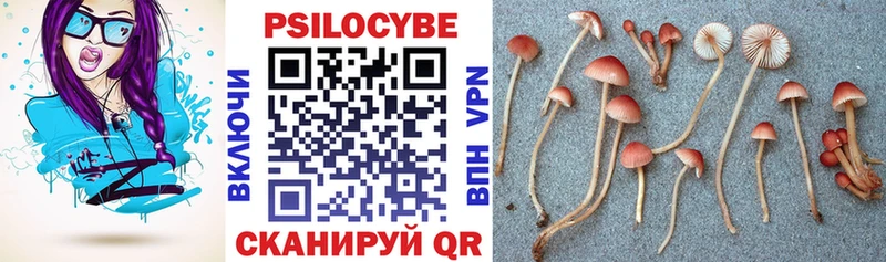 Псилоцибиновые грибы MAGIC MUSHROOMS Сосновка